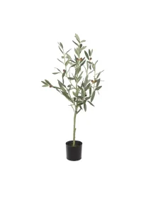 Oliventre h 90 cm