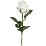 Rose Hvit 9603-10 2