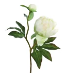 Peon Creme h75cm 191325 1