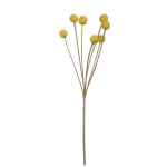 Flower Craspedia Yellow 10xh60cm 181007 1