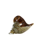 Shell Glass Olive 28x12xh16cm 7601569 1