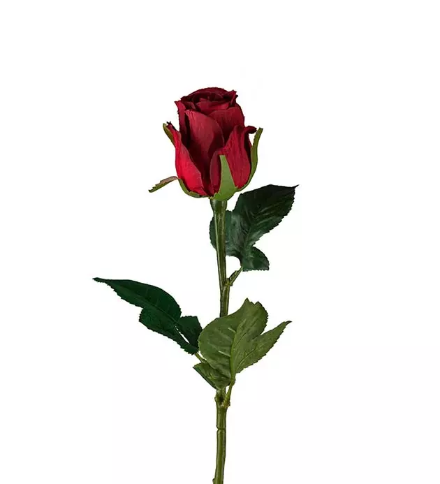Rose 9603-85