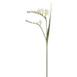 Fresia 4959-10 2