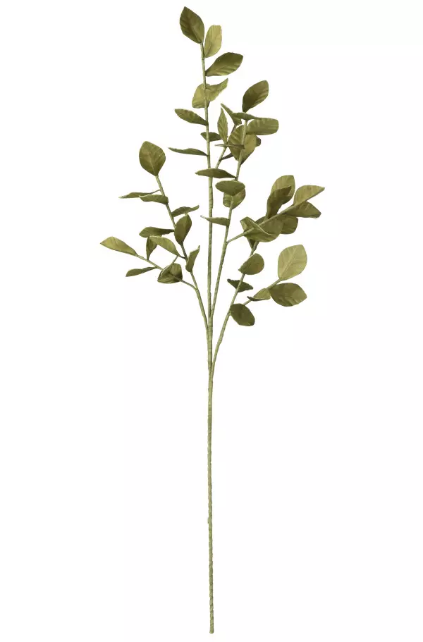 Branch Leaves Eva Green 30xh132cm 51671