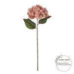 Hortensia Dusty Pink 18160 1
