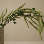 Green Amaranthus Cruentus Flower 3