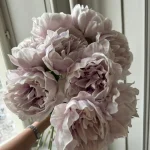 Light Purple Large Peony Flower 1