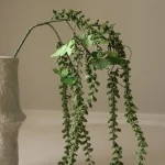 Green Amaranthus Emerald Tassels Flower 3
