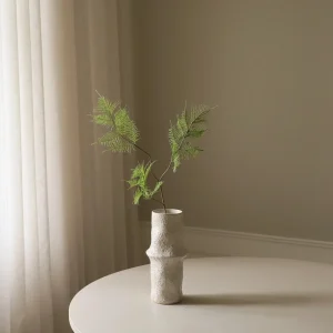 Green Fern Leaves