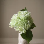 Light Green Hydrangea Flower 3