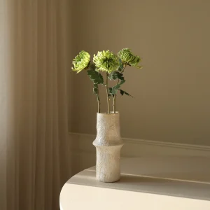 Semi-Cactus Dahlia Flower – Lys grønn