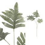 Leaves Plant Green Phelbpodium 702483 4