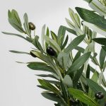 Plant Olive Tree h150cm 55924 3