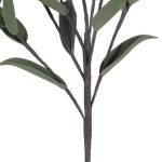 Leaf Ranucler White/Green 88cm 611689 3